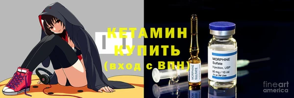 стаф Аркадак