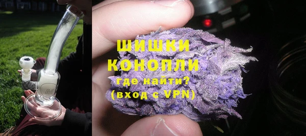 метадон Богданович