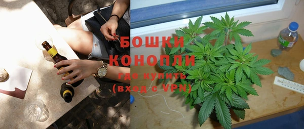 стаф Аркадак
