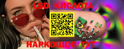 амф Бердск