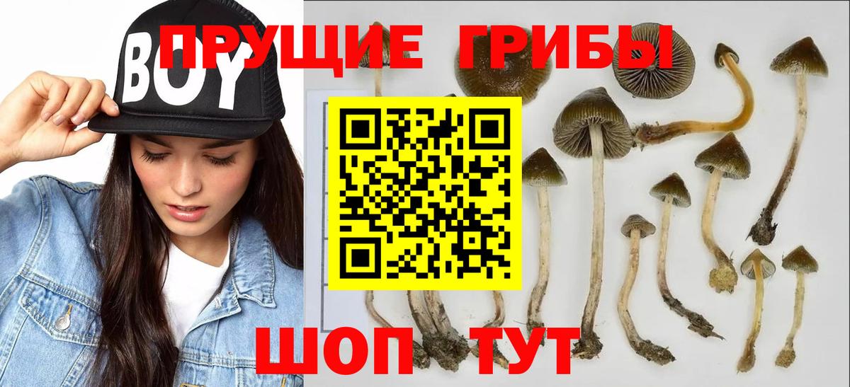 Псилоцибиновые грибы мицелий Радужный