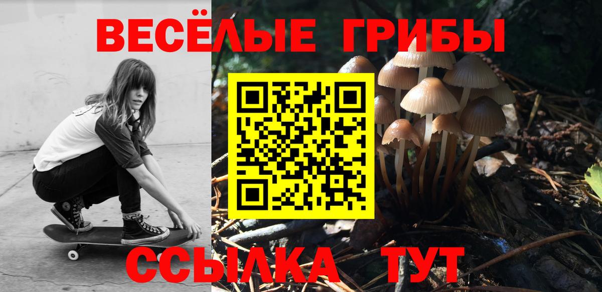 Псилоцибиновые грибы мухоморы  Вход с VPN  Галлюциногенные грибы Psilocybe  Радужный 